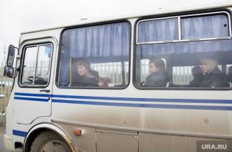 предприниматель пассажирские перевозки Краснокамск автобусы