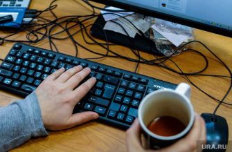 удаленка удаленная форма работа регион