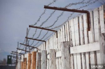 Исправительная колония 47 Каменск Уральский поставка картофеля Владимирская область Навальный