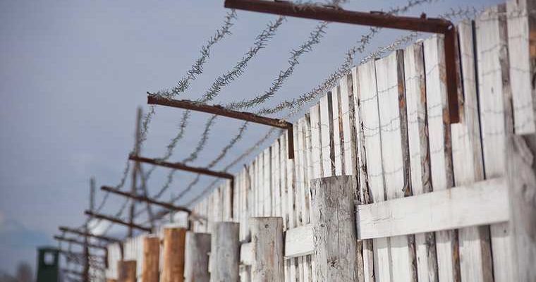 Исправительная колония 47 Каменск Уральский поставка картофеля Владимирская область Навальный