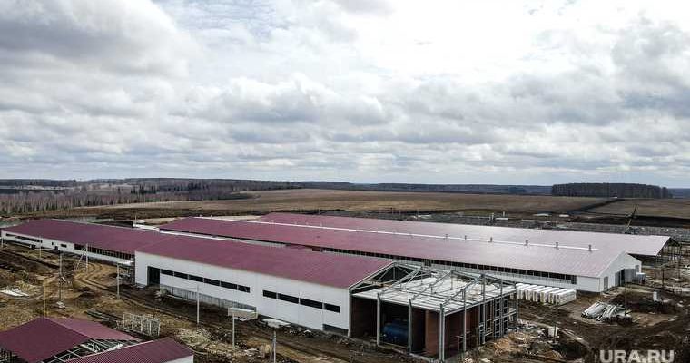 Алексей Шмыков замгубернатора Свердловская область