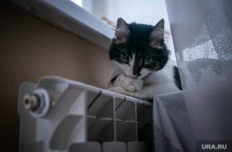 Челябинск отопление ЖКХ Кочерещенко Котова погода весна батареи тепло