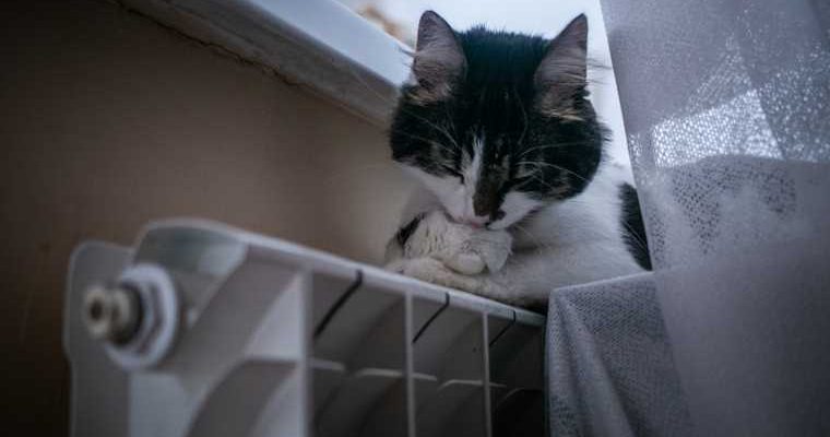 Челябинск отопление ЖКХ Кочерещенко Котова погода весна батареи тепло