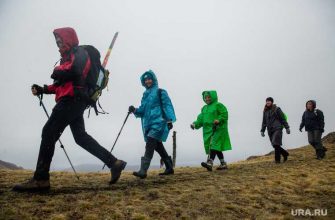 Когалым океанариум акулы стойбища гора Народная Березовский район майские каникулы досуг ХМАО