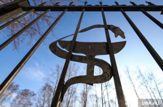 курганские детсады