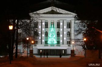 довлет анзароков