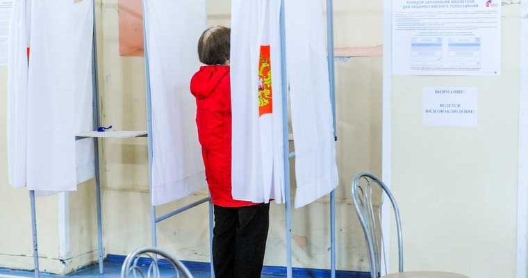 голосование Конституция