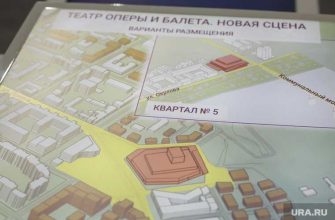 пермяки обратились к Путину