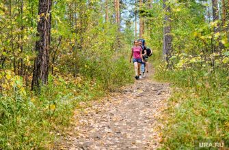 погода в России