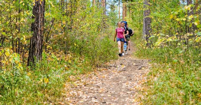 погода в России