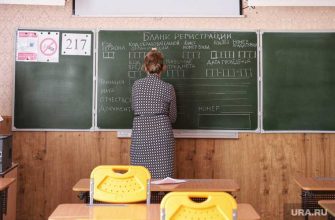 школы график работы