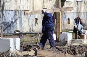 застройщик бабочкин