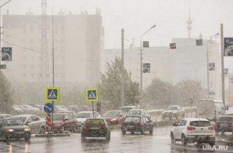 погода лето