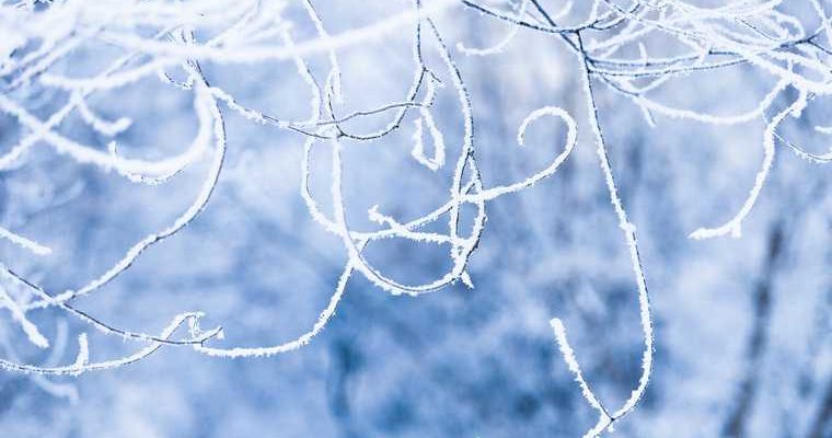 погода Курган