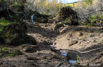 самые опасные регионы землетрясение ученые Россия сейсмическая опасность