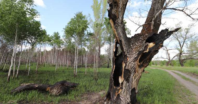 Заозерный Курган