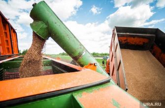 продовольственный фонд еаэс