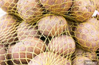 цены на продукты