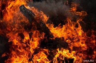 пожар в парке Маяковского