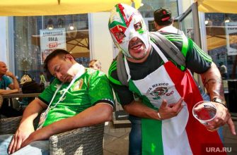 собаки выгул пьяный запрет