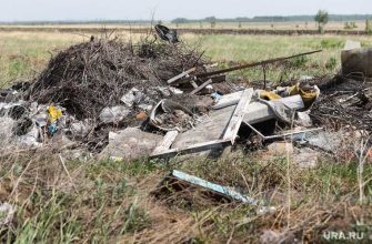 Свалка Курганская область