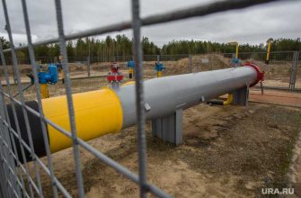 социальные сети