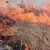 В Тюмени горит Ватутинское кладбище