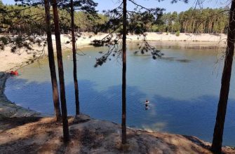 расторжение договора об аренде шести озер в Курганской области