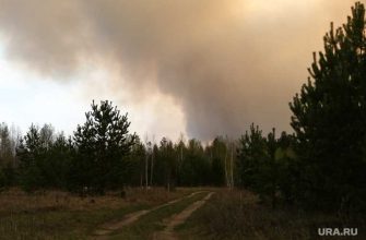 Авиалесоохрана