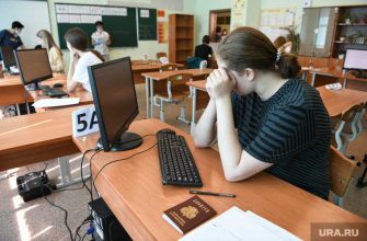 лучшие учебные заведения