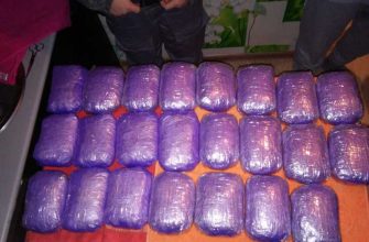 Пермский край