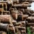 В правительстве РФ зреет конфликт из-за вывоза леса в Китай
