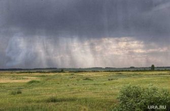 Метеоролог Тишковец пообещал россиянам «камни с неба»