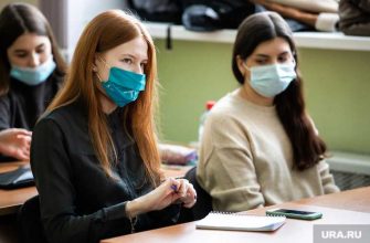 учебный год