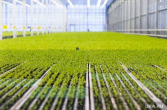 Пермский край