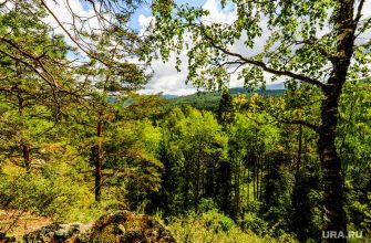 Платон Белоусов