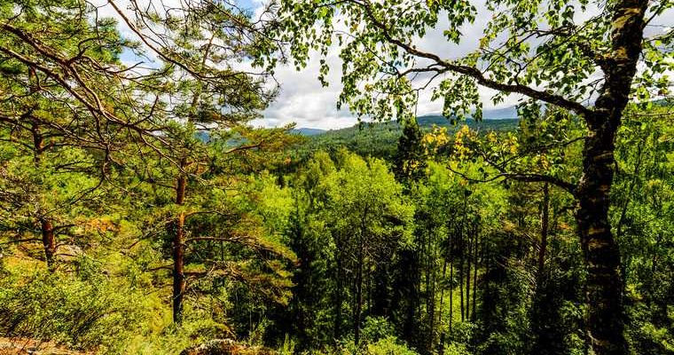 Платон Белоусов