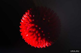 штамм гамма