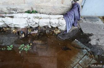 Шумихинский муниципальный округ