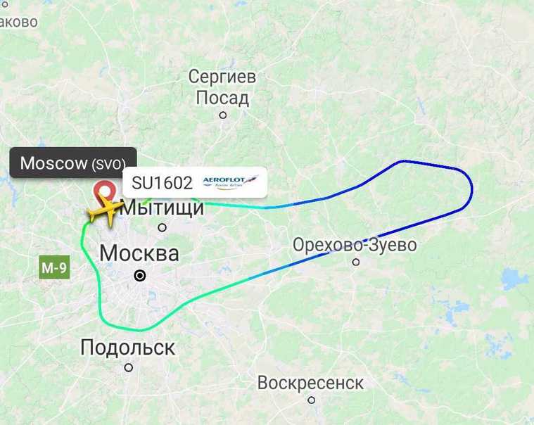 Пассажирский лайнер вернулся в Москву сразу после вылета
