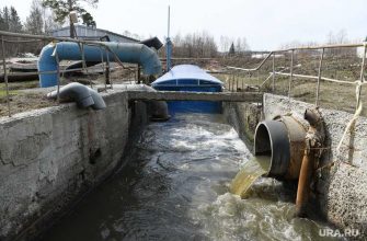 Следственный комитет