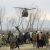 США завершают эвакуацию специалистов и дипломатов из Афганистана
